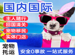龙嘉空运公司国际宠物托运 【国